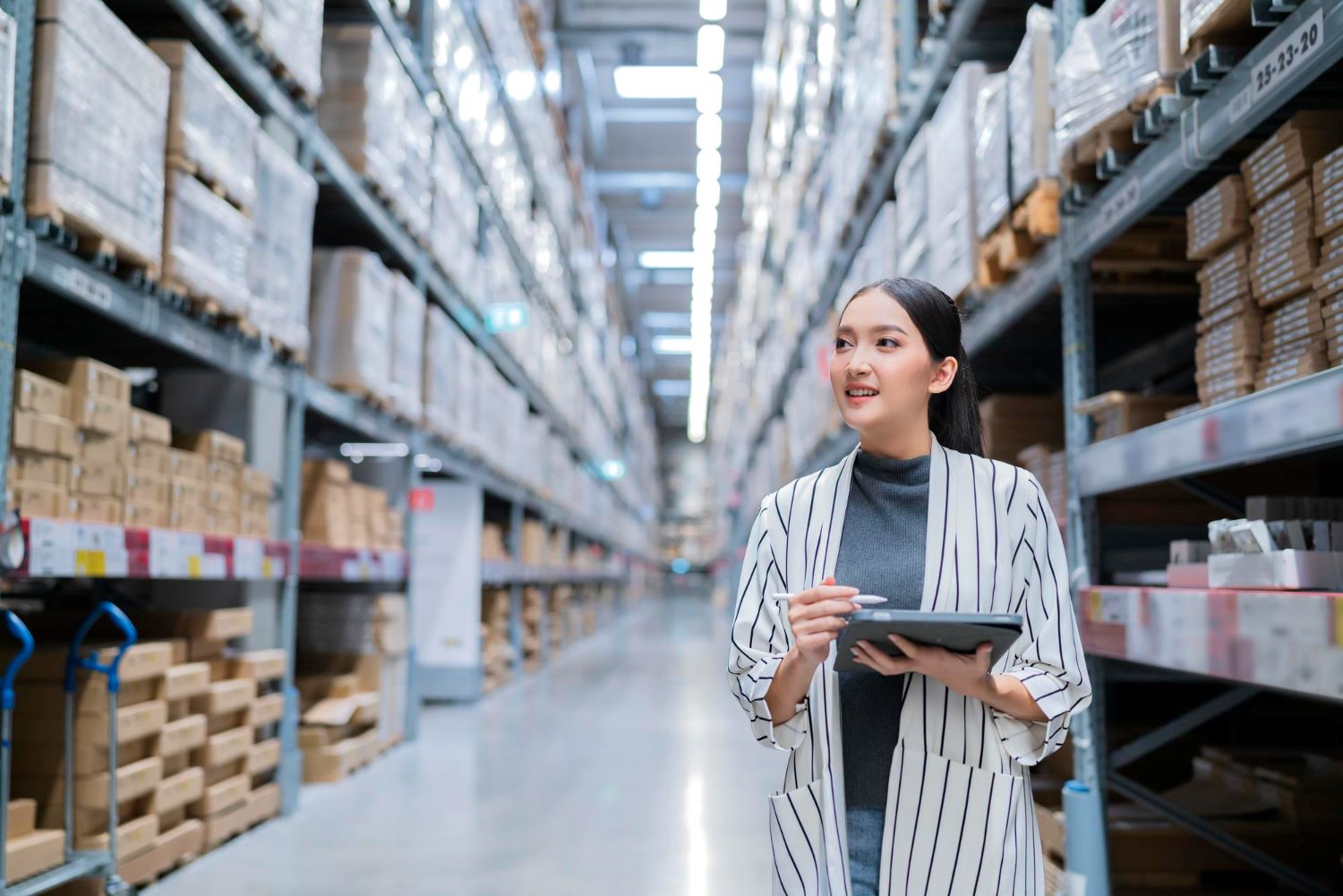 Distribution and Warehousing Services for Import Export